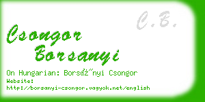 csongor borsanyi business card